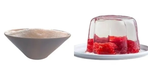 Gdzie kupić bezbarwną galaretkę? Sprawdź najlepsze oferty w Polsce